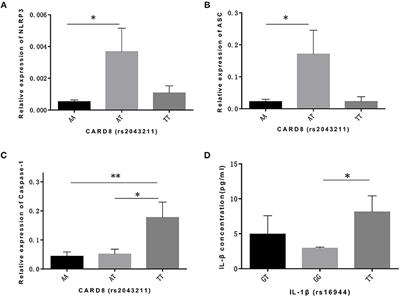 Investigation of NF-κB-94ins/del ATTG and CARD8 (rs2043211) Gene Polymorphism in Acute Lymphoblastic Leukemia